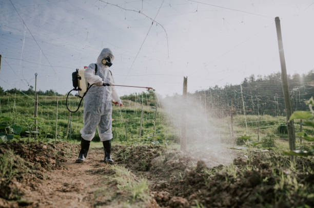Best Ant Control Services  in Snowmass Village, CO