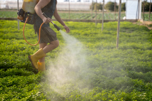 Best Mosquito Control Services  in Snowmass Village, CO