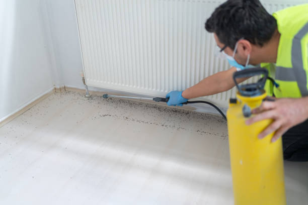Pest Prevention Services in Snowmass Village, CO