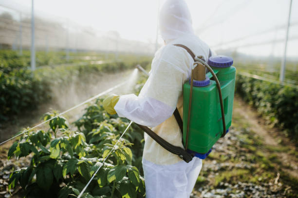 Best Best Pest Control Companies  in Snowmass Village, CO